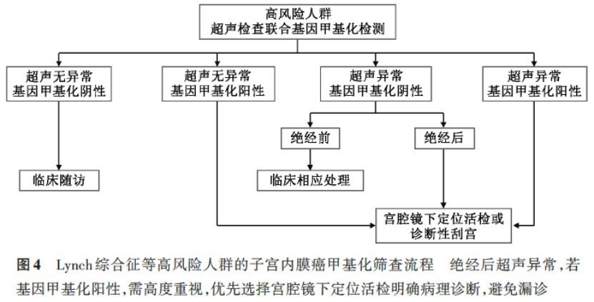 图4 高风险人群筛查流程图