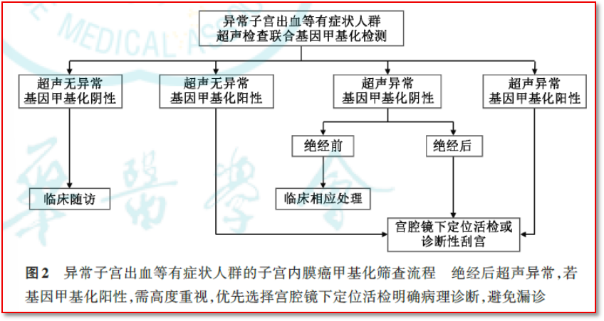 图2 有症状人群筛查流程图