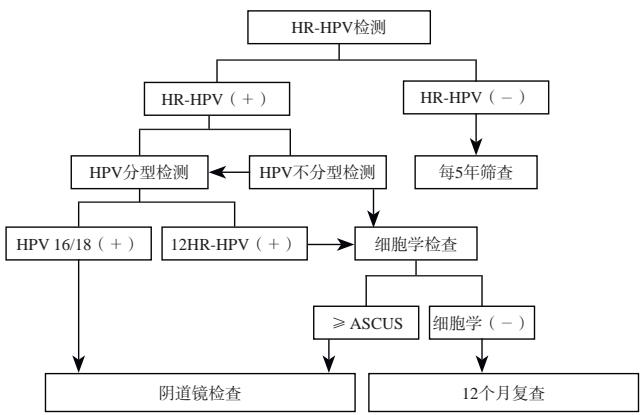 Fig1 HPV primary screening abnormal management
