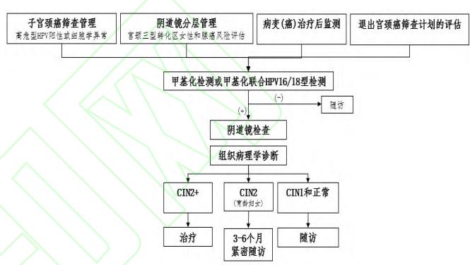 Recommended cervical cancer methylation screening flowchart