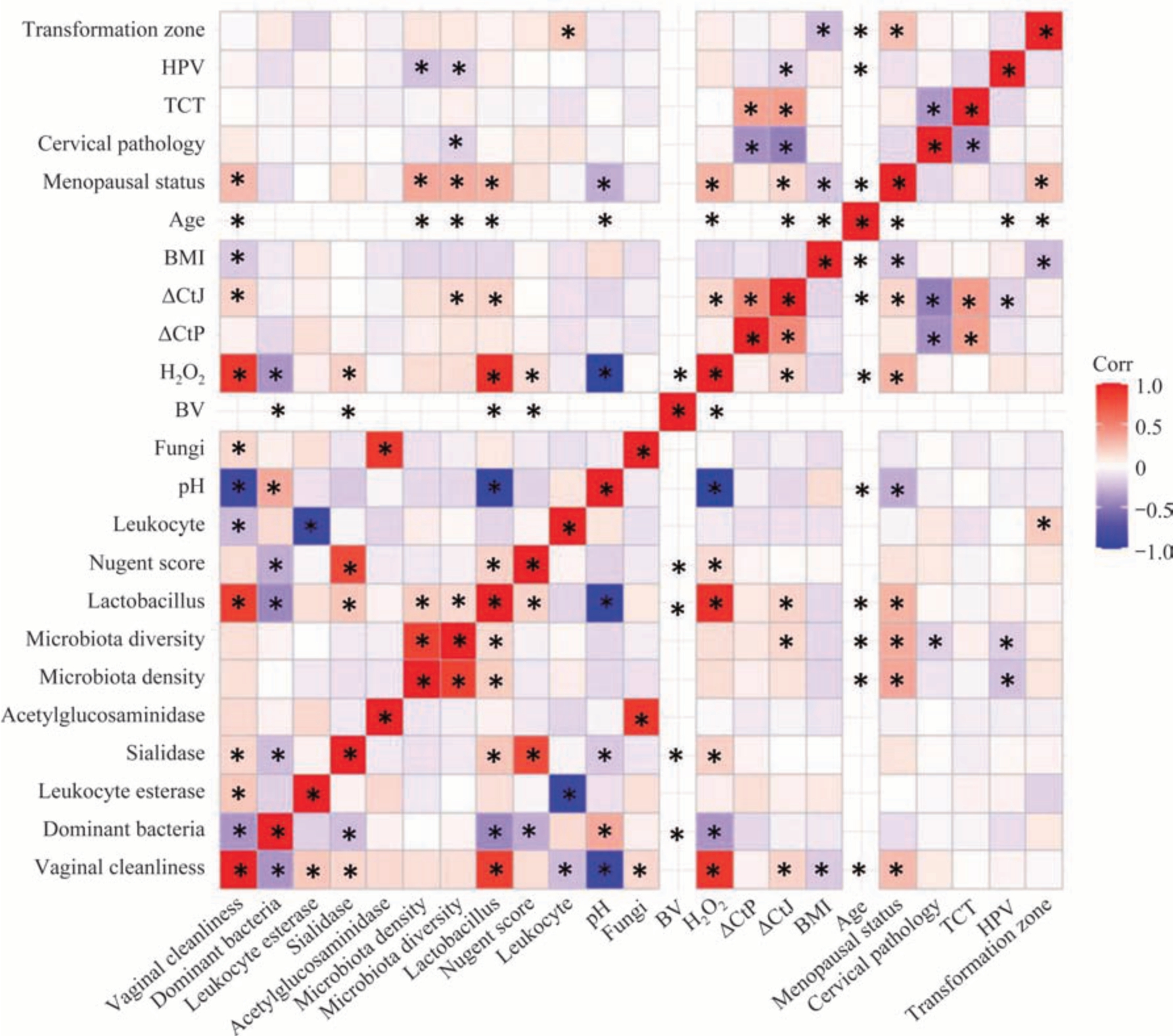 Correlation heatmap of clinical parameters