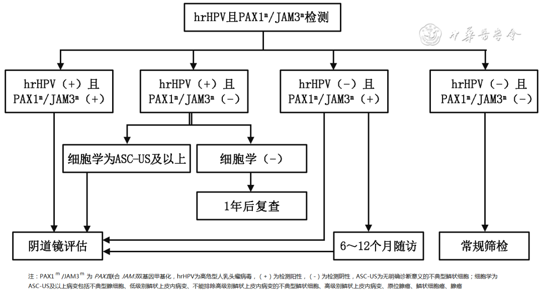 hrHPV untyped management flowchart