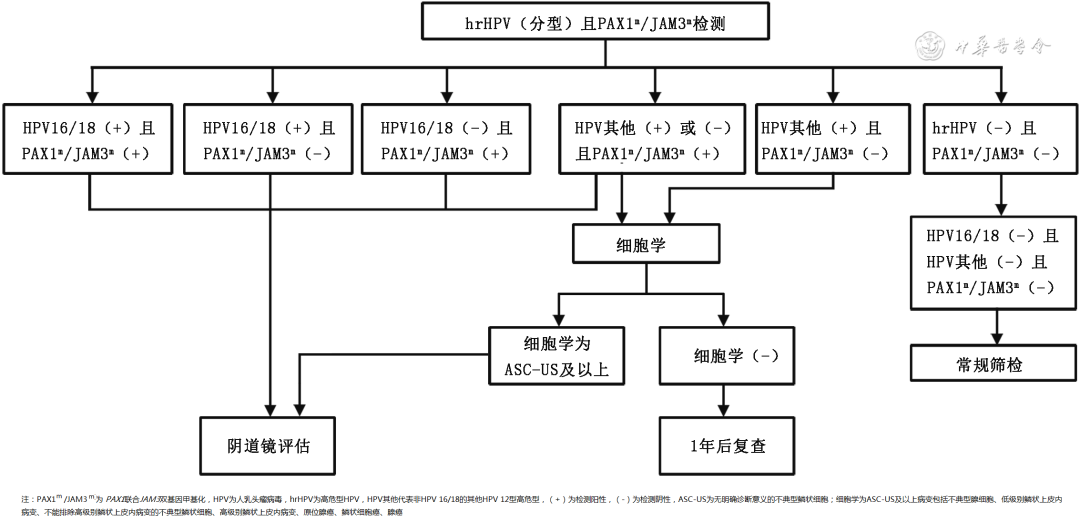 HPV typed management flowchart