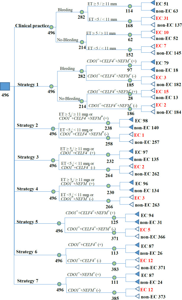 Decision tree comparing clinical practice and diagnostic strategies